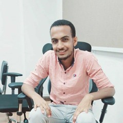 Eng hassan hammam