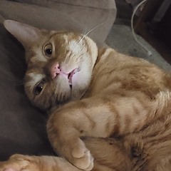 PhyreChris