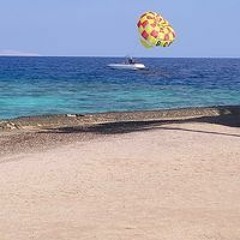 Hesham Naser Mouhamod