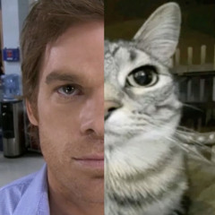 Ardet Nec Consumitur