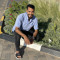 محمد العنانى