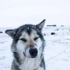 JustOnePlayerVzxcker 🥴 (Неактивный аккаунт)