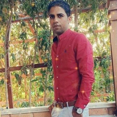 Sayed Basha