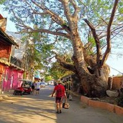 Arturo Rangel García