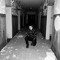 Lonely Virgo