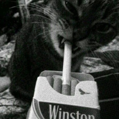 chaoosii