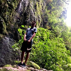reggae roots