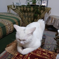 fluffina