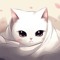 котики