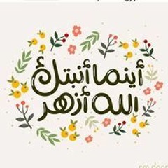 احمد مصطفى