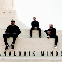 Analogik Minds