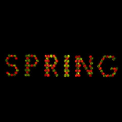 Spring