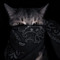 Fast_hyrum