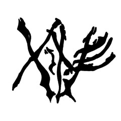 xarkal na fraktal