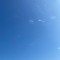 vosaiam