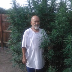 UA1 Entertainment Raul Tamale Sanchez