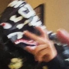 gaven