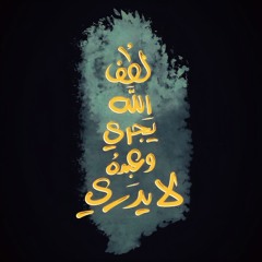 User 217016566