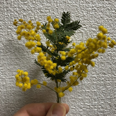 、