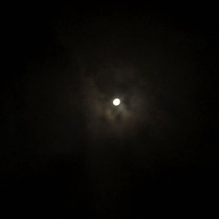 Demi-lune