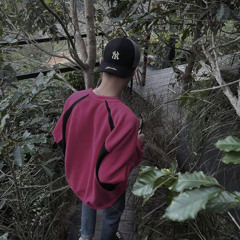 Võ Tấn Đồng