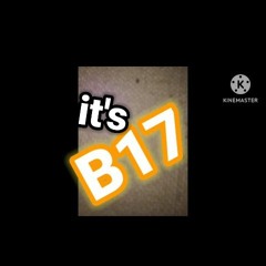 b17