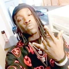 Phenom Da Vinci '25