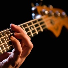 VIAROMA28 BASS COVERS