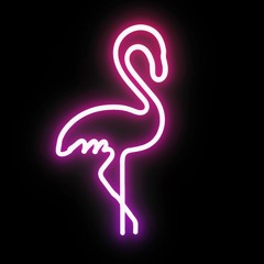 Radio Flamingo