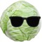 spring cabbage