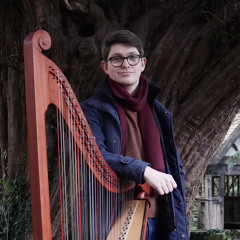 Gareth Swindail-Parry - Harpist and Composer