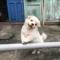 hikun