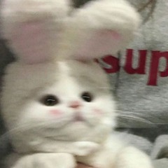𝐋𝐮𝐯𝐥𝐲𝐡𝐚𝐧╰