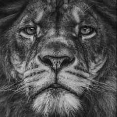 BIG.V