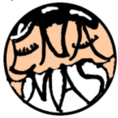 ENAMAS