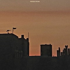 pedestrian