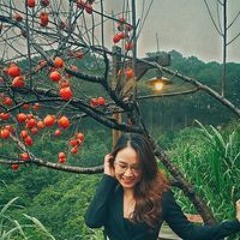 Trang Trần