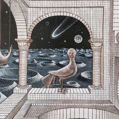 Tim Davison