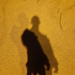 the.liminal__