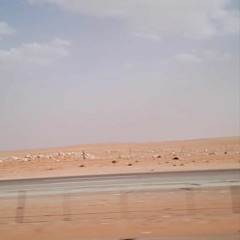 Alialkoofi81