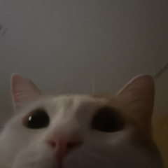 rai