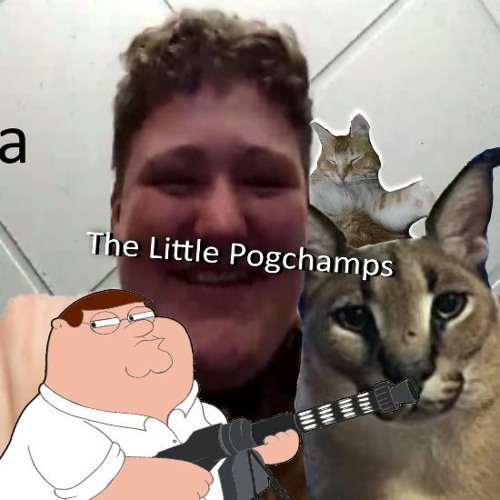 The little pogchamps’s avatar