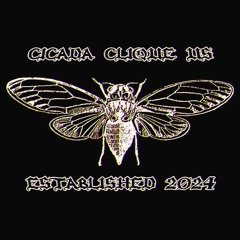 Cicada Clique U.S.