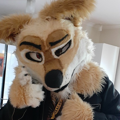 Flynn the Australian Dingo’s avatar