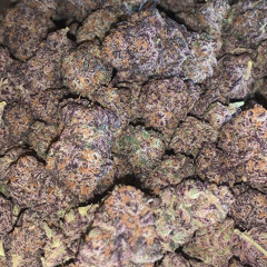 stoney