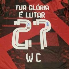 PROIBIDÃO DE ESQUECER DO RODO E ANTARES PRA ETERNIDADE DJ WC HIT FLECHA DE OURO