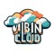 Vibininthecloud