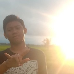 aldy s
