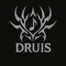 Druis