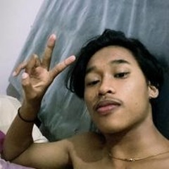 Dekkgunn